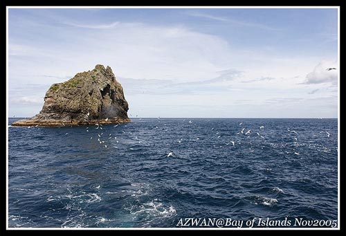 Bay+of+Islands